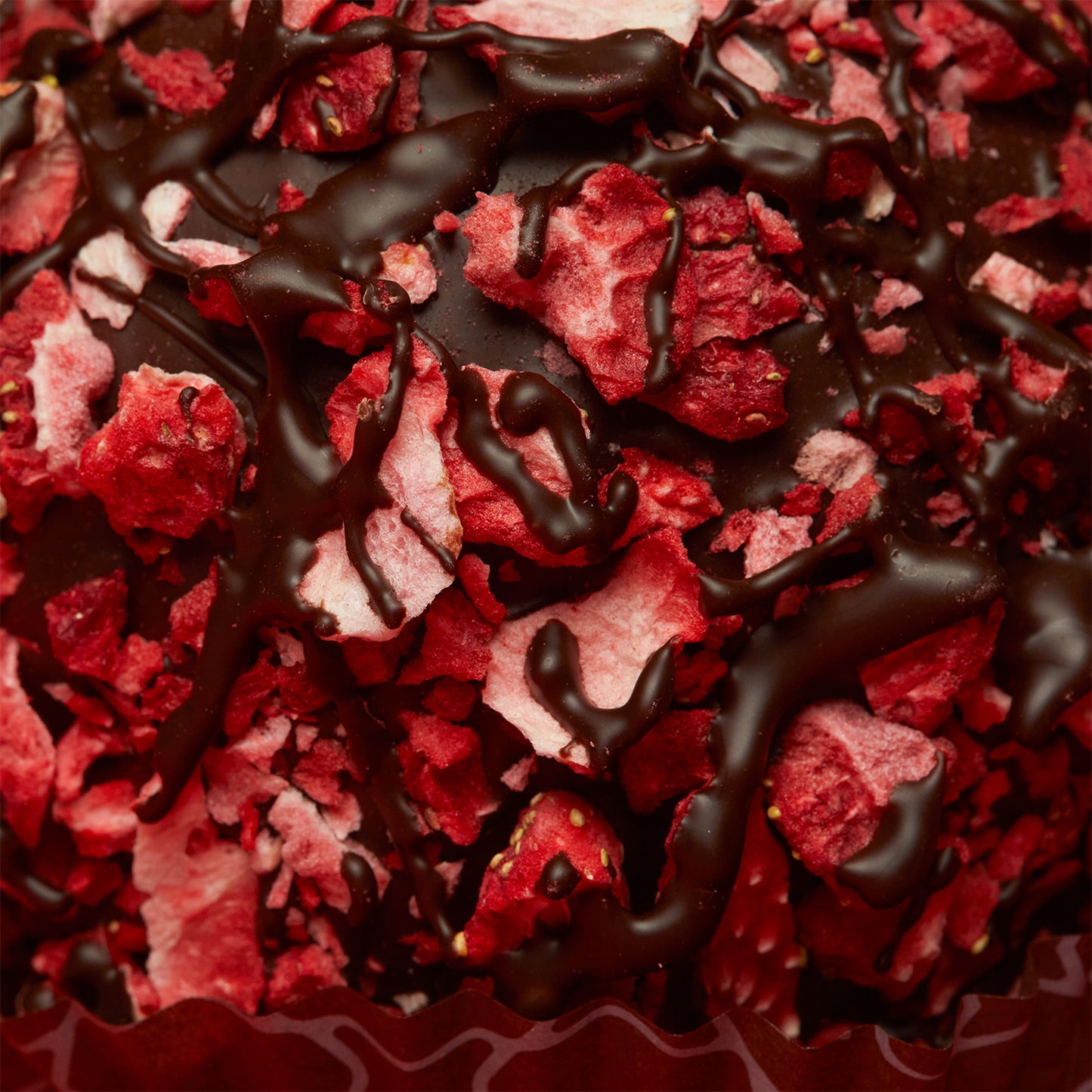 Dark Chocolate Strawberry