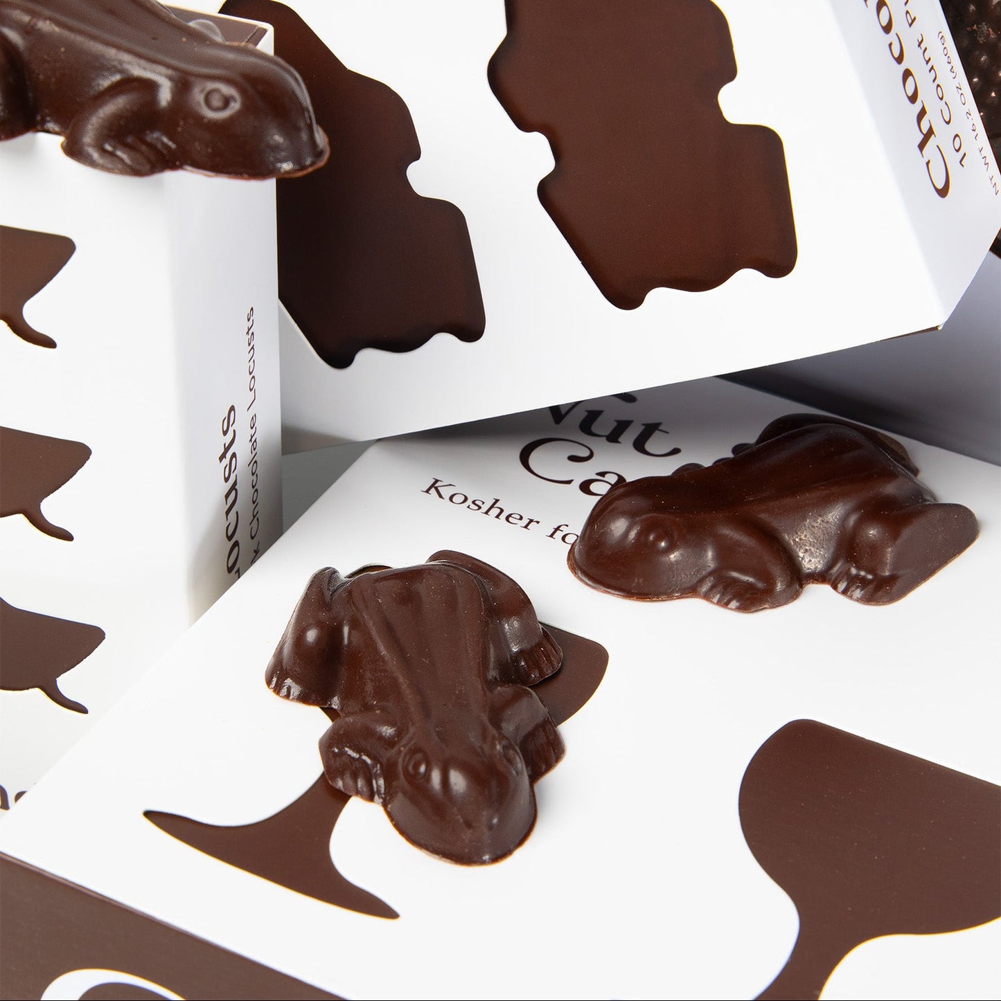 Chocolate Frogs | Kosher for Passover