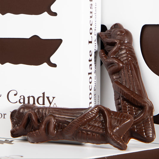 Chocolate Locusts | Kosher for Passover