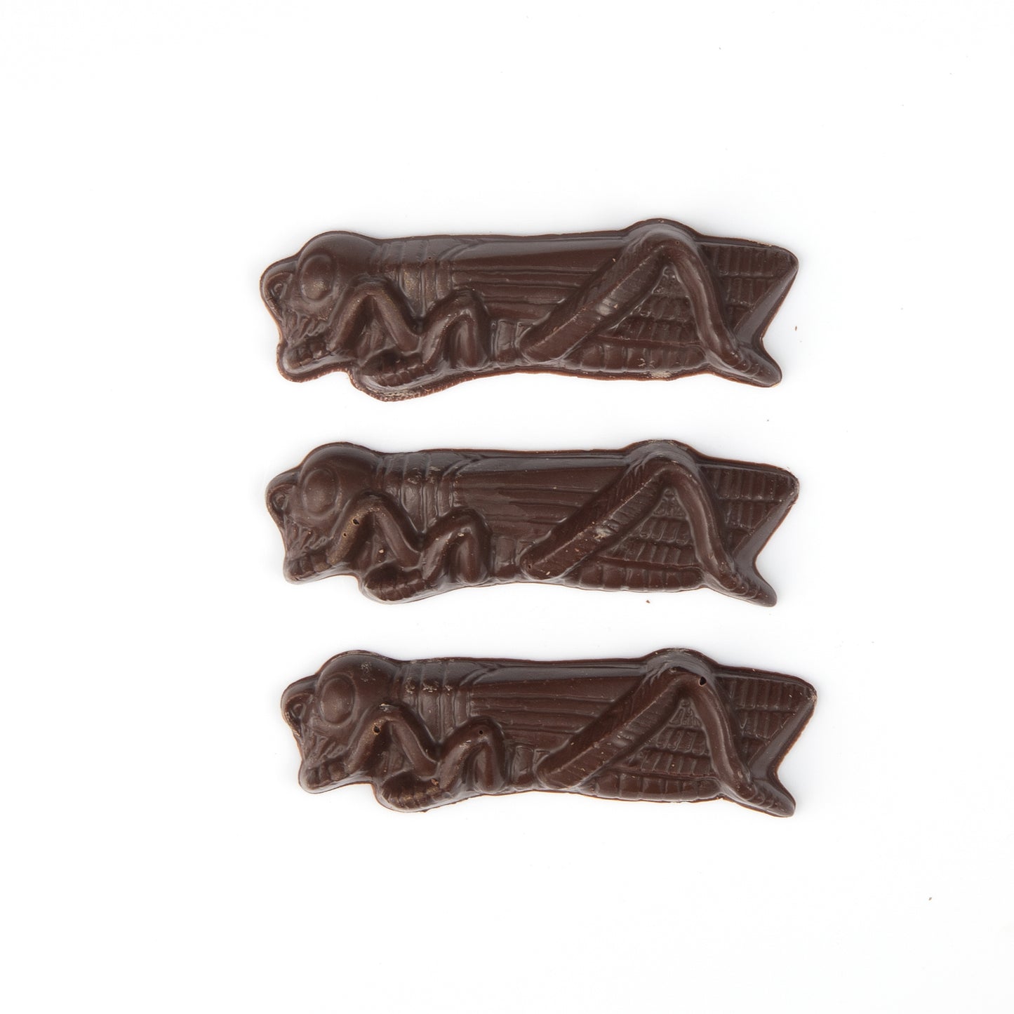 Complete Chocolate Seder Set | Kosher for Passover